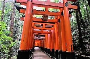 528-aka-torii[1]